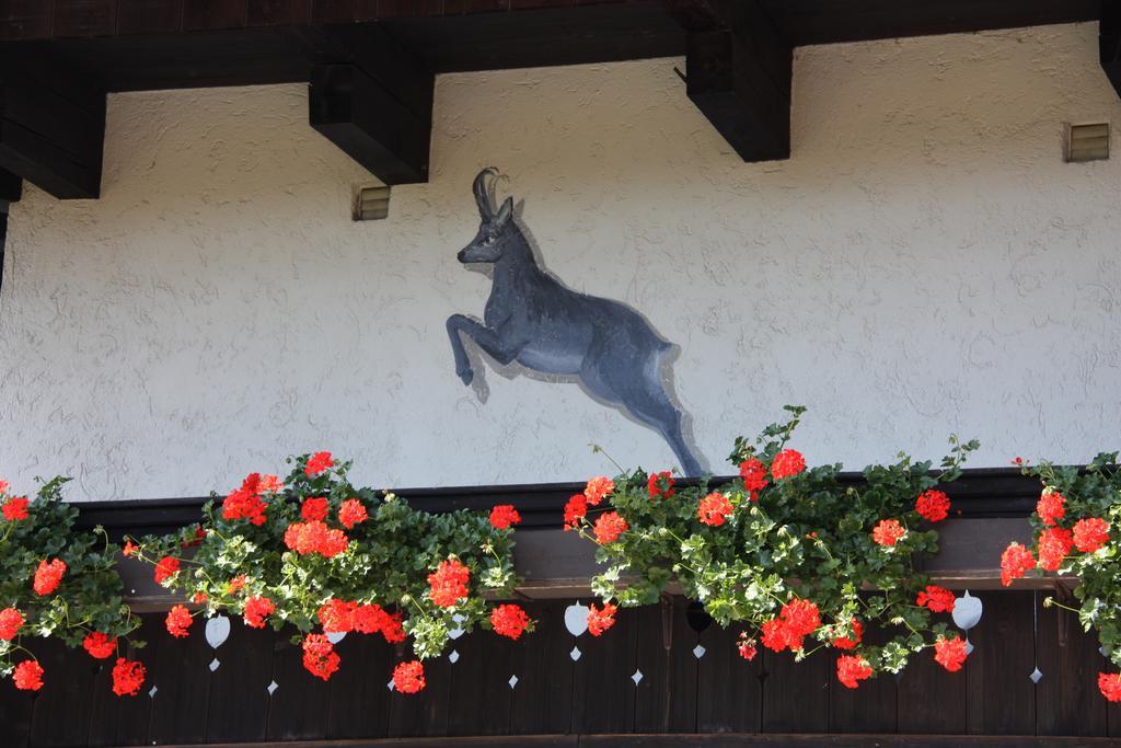 Pension Blauer Gamsbock Kiefersfelden Bagian luar foto